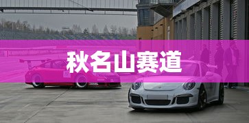 秋名山赛道  第1张