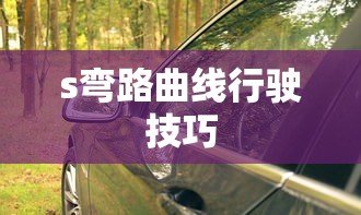s弯路曲线行驶技巧  第1张
