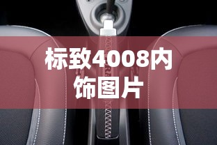 标致4008内饰图片  第1张