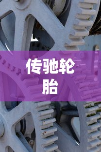 传驰轮胎  第1张