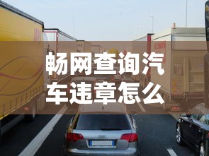 畅网查询汽车违章怎么查  第1张