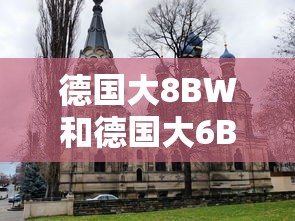 德国大8BW和德国大6BW哪个好  第1张
