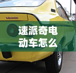 速派奇电动车怎么样值得买吗  第1张