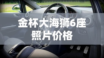金杯大海狮6座照片价格  第1张