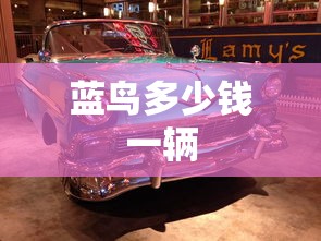 蓝鸟多少钱一辆  第1张