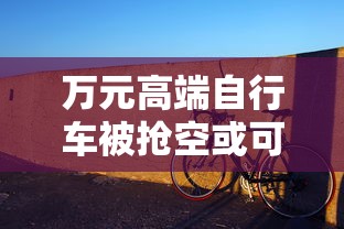 万元高端自行车被抢空或可升值  第1张