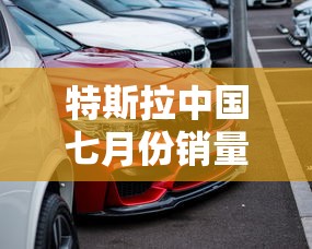 特斯拉中国七月份销量  第1张