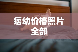 痞幼价格照片全部  第1张