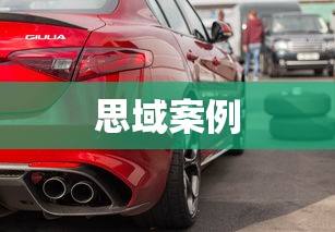 思域案例  第1张