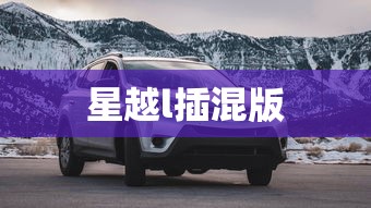 星越l插混版  第1张