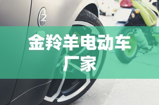 金羚羊电动车厂家  第1张