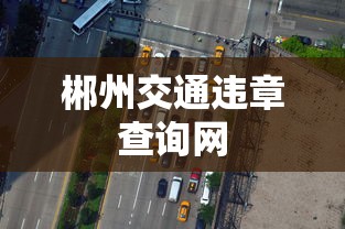 郴州交通违章查询网  第1张