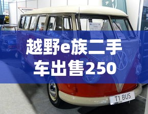 越野e族二手车出售2500  第1张