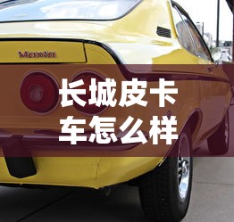 长城皮卡车怎么样值得买吗  第1张