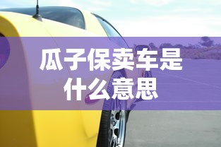 瓜子保卖车是什么意思  第1张
