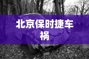 北京保时捷车祸  第1张