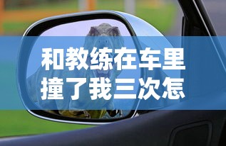 和教练在车里撞了我三次怎么办啊最新章节列表  第1张