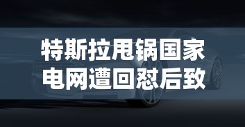 特斯拉甩锅国家电网遭回怼后致歉  第1张