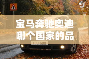 宝马奔驰奥迪哪个国家的品牌汽车  第1张