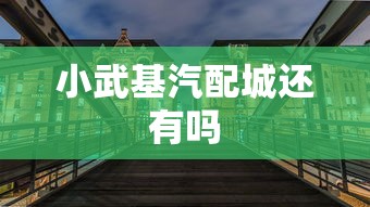 小武基汽配城还有吗  第1张