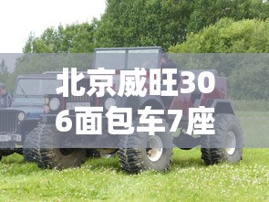 北京威旺306面包车7座  第1张