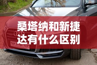 桑塔纳和新捷达有什么区别  第1张