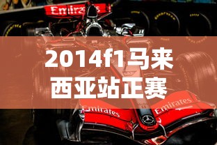 2014f1马来西亚站正赛  第1张