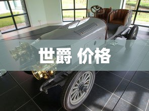 世爵 价格  第1张