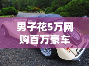 男子花5万网购百万豪车“路虎”  第1张