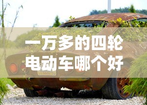 一万多的四轮电动车哪个好  第1张