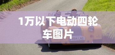 1万以下电动四轮车图片  第1张