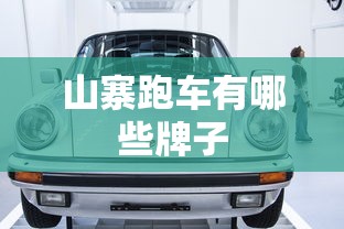 山寨跑车有哪些牌子  第1张
