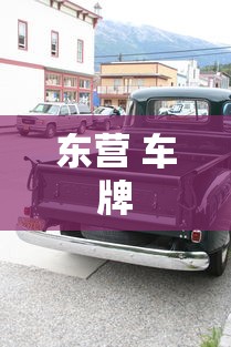 东营 车牌  第1张
