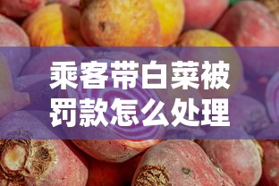 乘客带白菜被罚款怎么处理  第1张