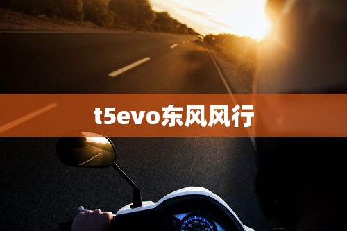 t5evo东风风行  第1张
