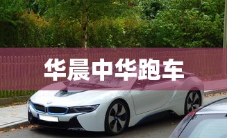 华晨中华跑车  第1张