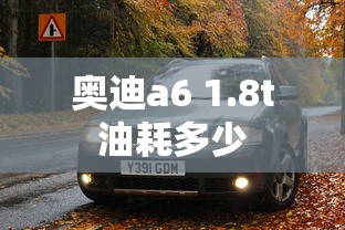 西耶那盖尔利  第1张