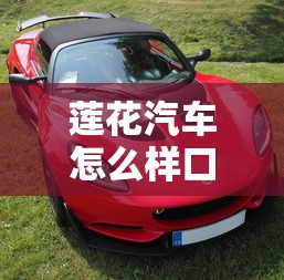 莲花汽车怎么样口碑怎么样  第1张