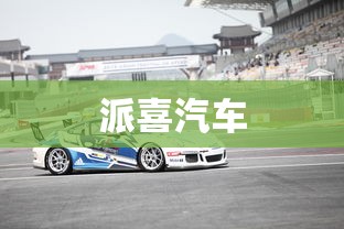派喜汽车  第1张