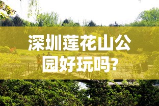 深圳莲花山公园好玩吗?  第1张