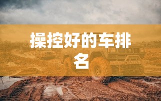 操控好的车排名  第1张