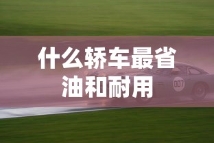 什么轿车最省油和耐用  第1张
