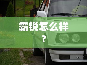 霸锐怎么样?  第1张
