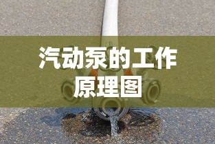 汽动泵的工作原理图  第1张