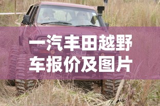 一汽丰田越野车报价及图片大全  第1张