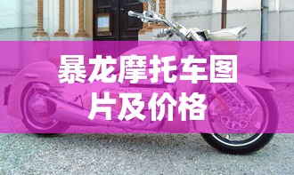 暴龙摩托车图片及价格  第1张