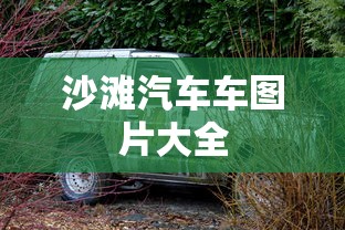 沙滩汽车车图片大全  第1张