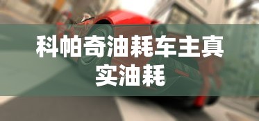 科帕奇油耗车主真实油耗  第1张