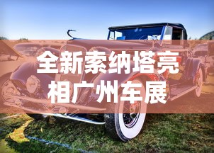 全新索纳塔亮相广州车展  第1张