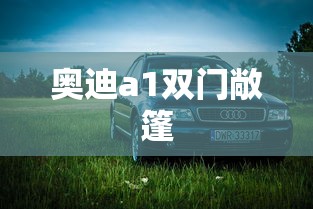 奥迪a1双门敞篷  第1张